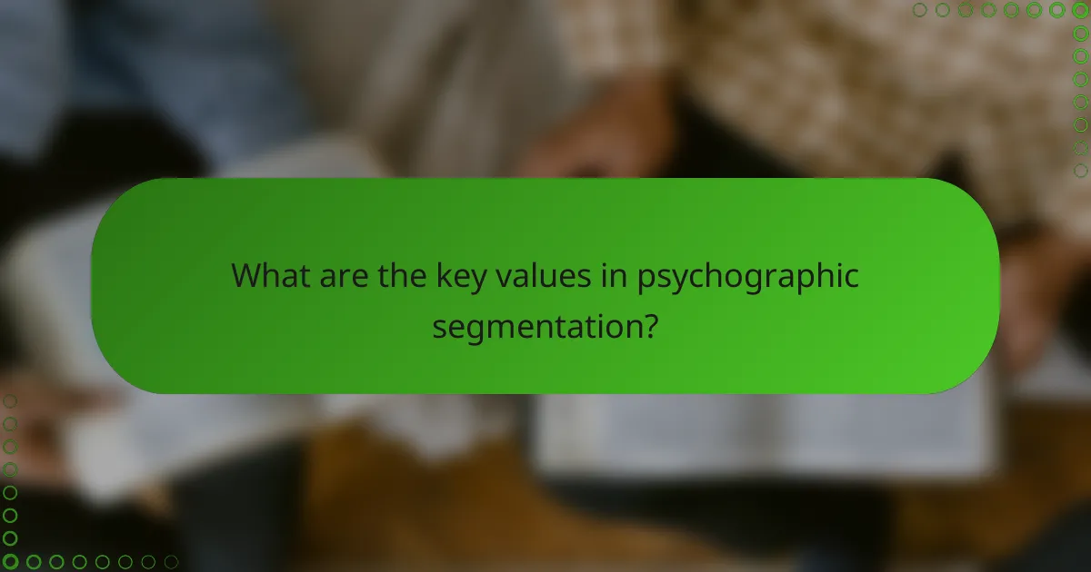 What are the key values in psychographic segmentation?